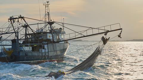 Greener Fishing